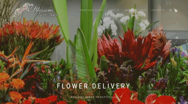 floristgoldcoast.net.au