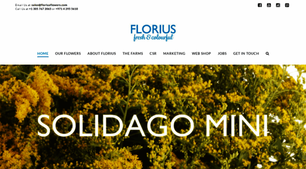 floriusflowers.com