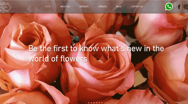 florsudcompany.com