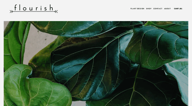 flourish-austin.com