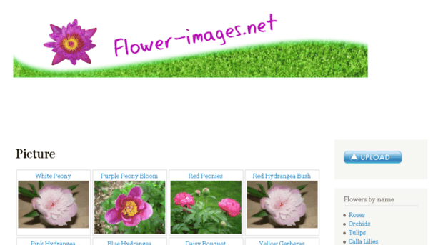 flower-images.net