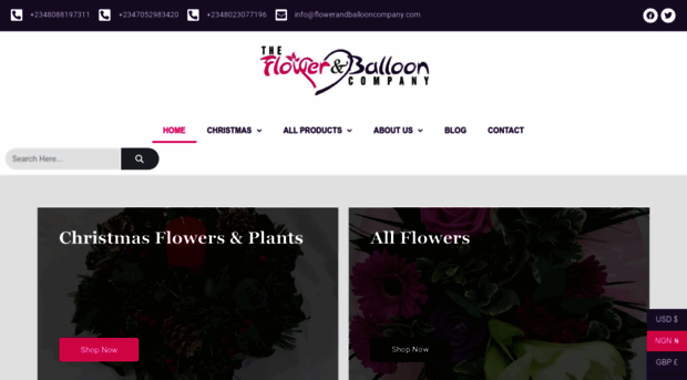 flowerandballooncompany.com