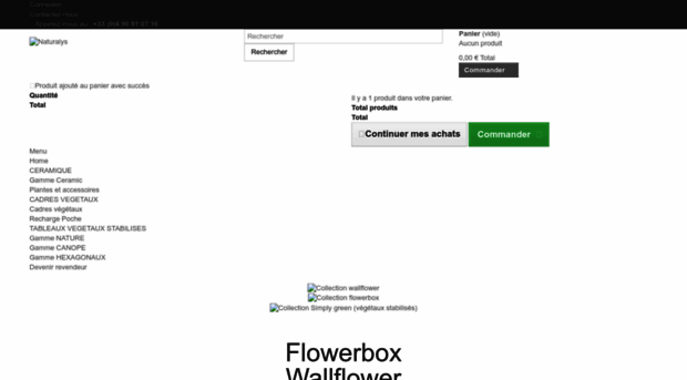 flowerbox-gallery.com