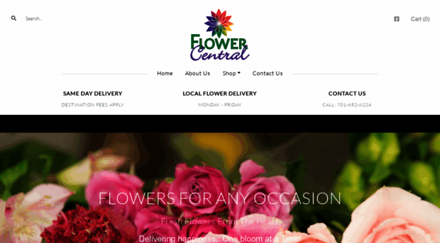 flowercentralminot.com