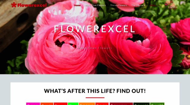 flowerexcel.com