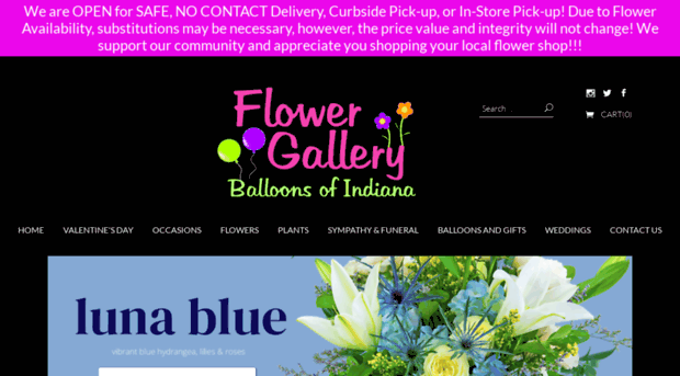 flowergalleryindianapa.com