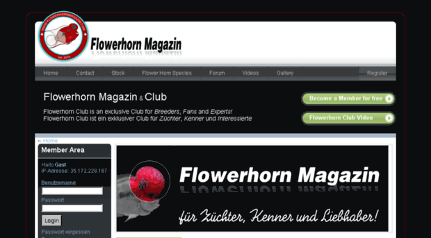 flowerhornmagazin.com