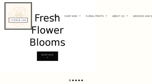 flowerlab.com.sg