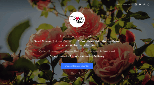 flowermad.com