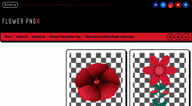 flowerpng.com