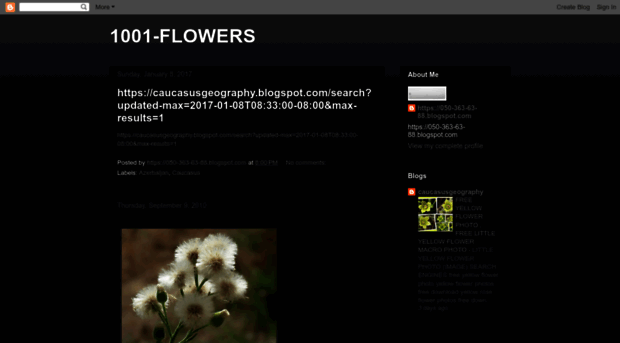 flowers-1001.blogspot.com