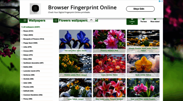 flowers-wallpapers.com