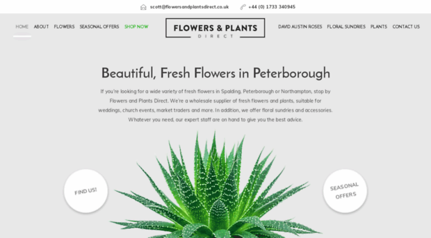 flowersandplantsdirect.uk