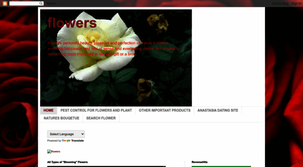 flowersandsense.blogspot.com