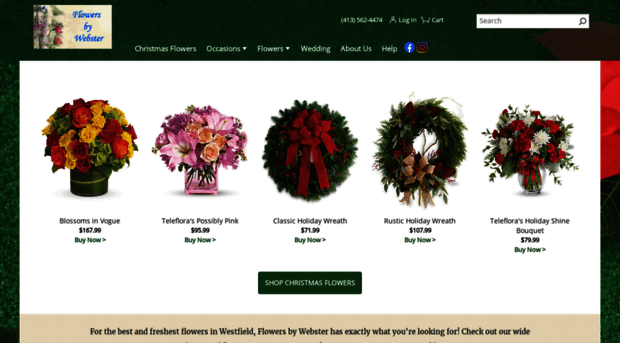 flowersbywebster.com