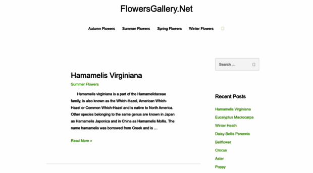 flowersgallery.net
