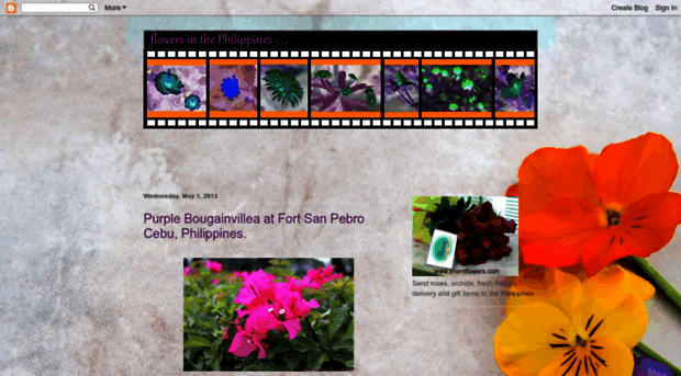 flowersinphilippines.blogspot.com