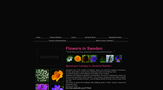flowersinsweden.com