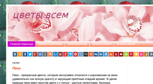 flowersvsem.ru