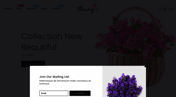 flowmj-store-demo.myshopify.com