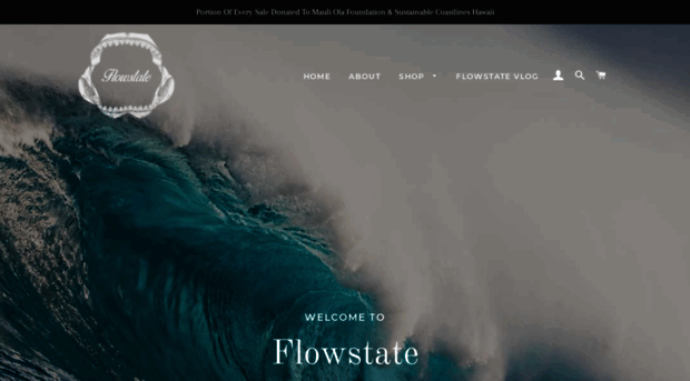 flowstatevlog.com