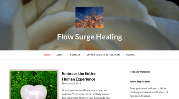 flowsurgehealing.com