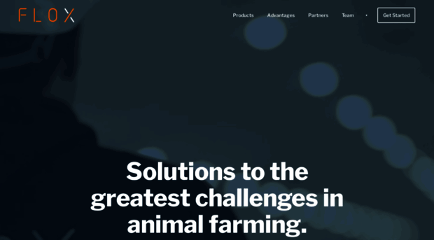 flox.ai