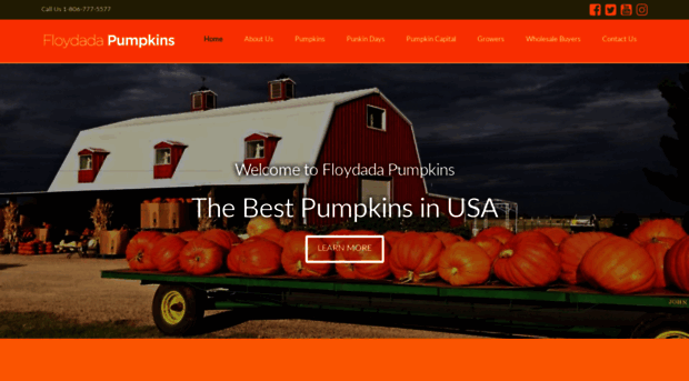 floydadapumpkins.com