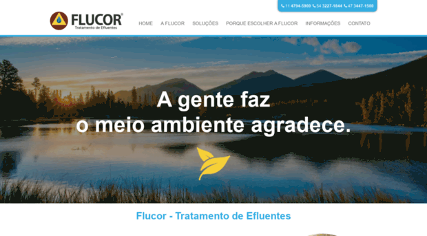 flucor.com.br