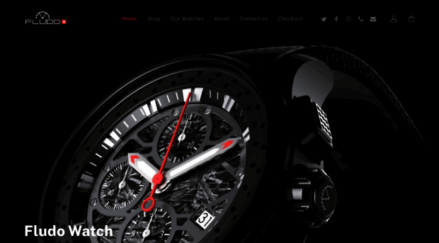 fludowatch.ch