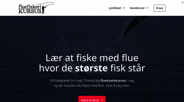 fluefiskerikursus.dk