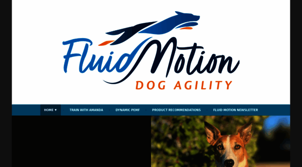 fluidmotionagility.com