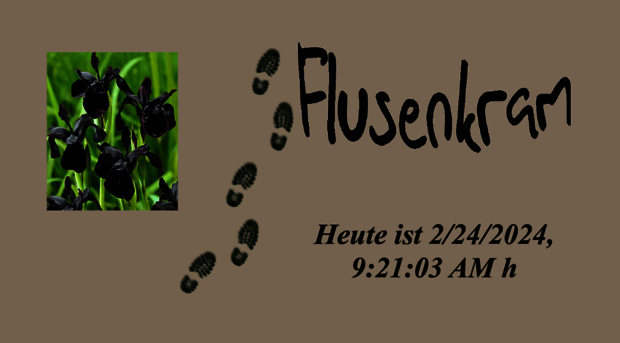 flusenkram.de