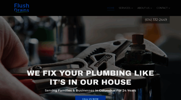 flushdrains.com