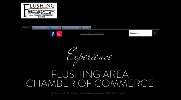 flushingchamber.com