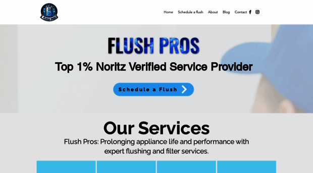 flushprosut.com