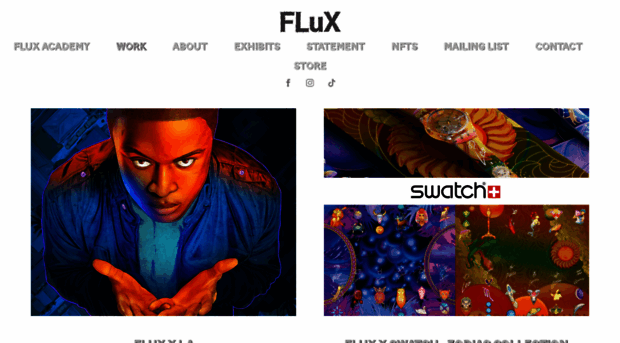 fluxartist.com