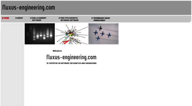 fluxus-engineering.com