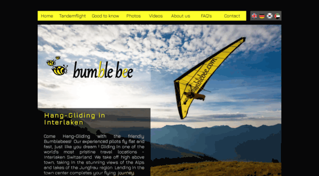 fly-bumblebee.com