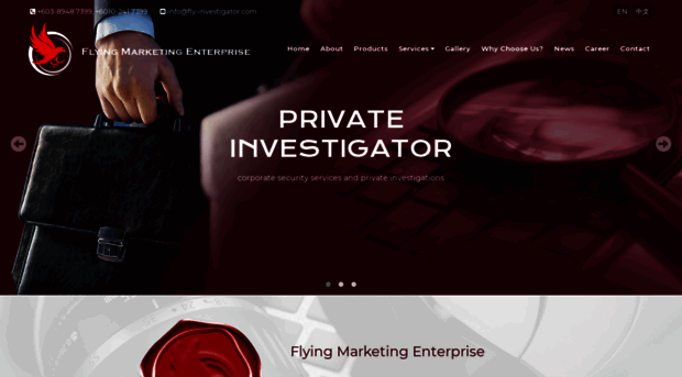 fly-investigator.com