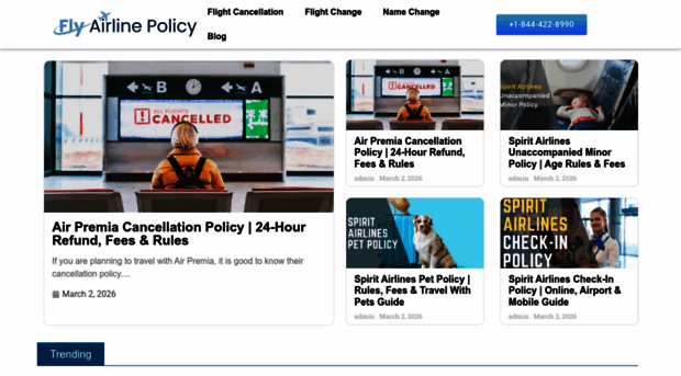 flyairlinespolicy.com