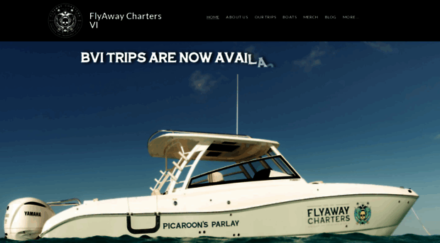 flyawaychartersvi.com