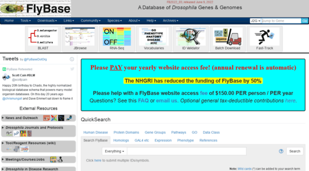 flybase.org