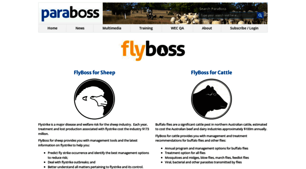 flyboss.com.au