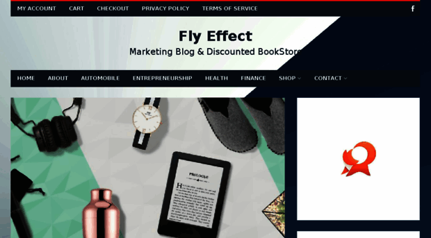 flyeffect.com