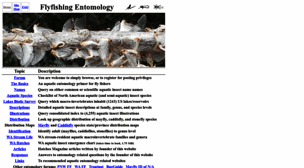 flyfishingentomology.com