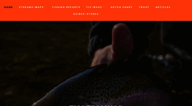 flyfishingnc.com