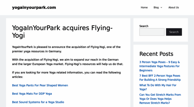 flying-yogi.com