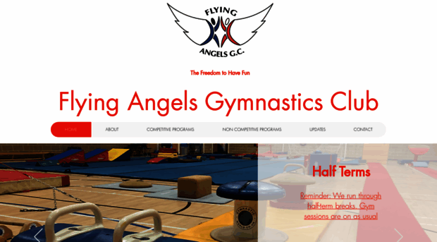 flyingangelsgymnasticsclub.com