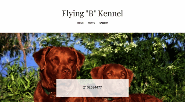 flyingbkennel.com